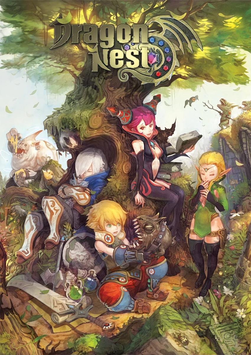 Dragon nest cover art