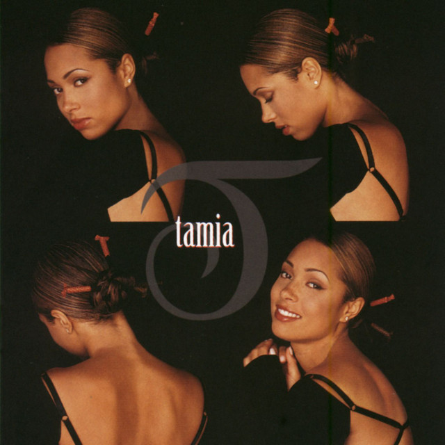 So Into You Tamia Cover art